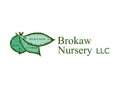 brokaw nursery